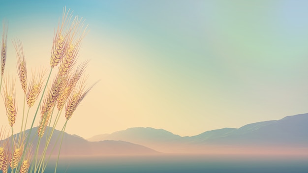 【杭州市交通地图,杭州交通地图新】